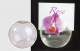 Marque place boule en verre
